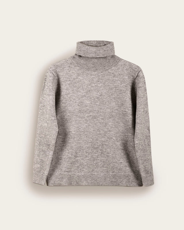 Jersey Cuello Vuelto - Algodón